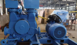 MECHANICAL PUMPS WITH LIQUID-RING PUMPS MECHANICAL PUMPS WITH LIQUID-RING PUMPS